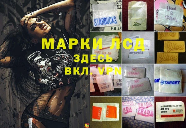 амф Алексин