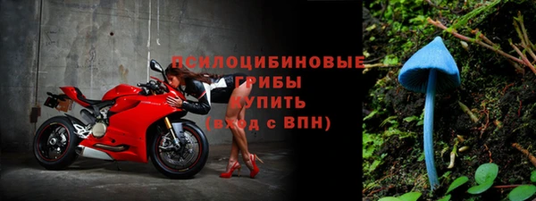 амф Алексин
