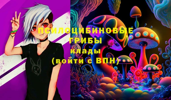 ГАЛЛЮЦИНОГЕННЫЕ ГРИБЫ Алзамай