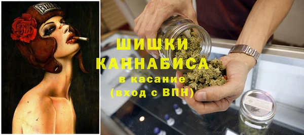 ГАЛЛЮЦИНОГЕННЫЕ ГРИБЫ Алзамай