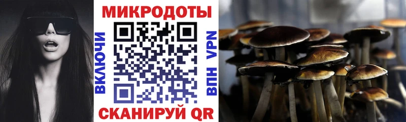 Купить закладки  Луховицы  Галлюциногенные грибы Cubensis 